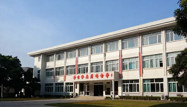 技术支持服务的适用条件与选择依据